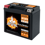 230 CRANK AMPS / 12AMP HOURS AGM Power Sports 12V Battery