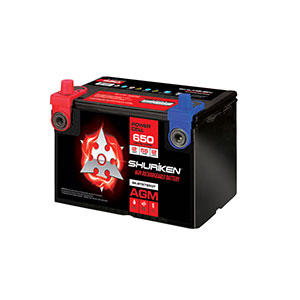 650 CRANK AMPS / 55 AMP HOURS AGM 12V Battery