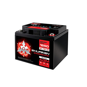 1250W / 45AMP HOURS AGM 12V Battery