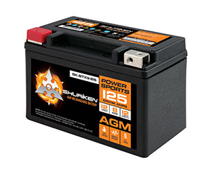 125 CRANK AMPS / 8AMP HOURS AGM Power Sports 12V Battery